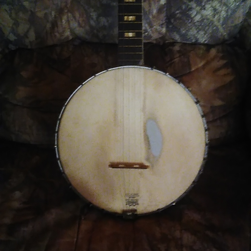 Harmony Roy Smeck Banjo